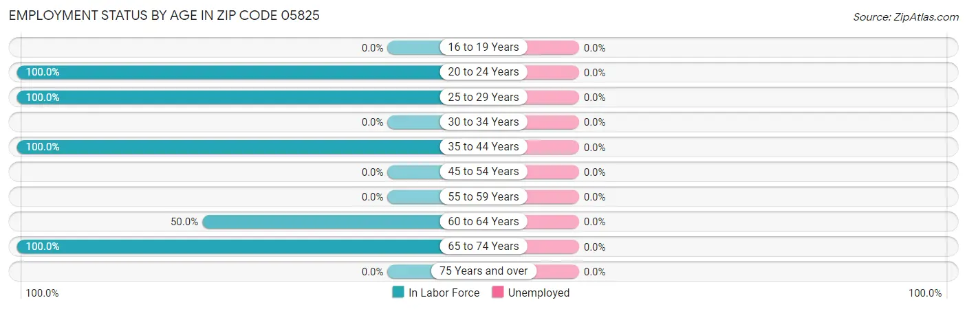 Employment Status by Age in Zip Code 05825