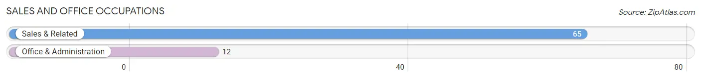 Sales and Office Occupations in Zip Code 05832
