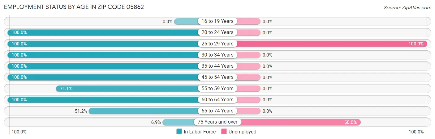 Employment Status by Age in Zip Code 05862