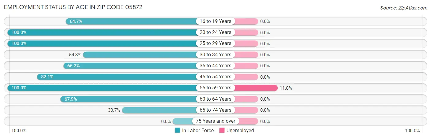 Employment Status by Age in Zip Code 05872