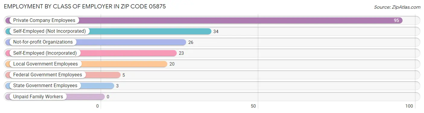 Employment by Class of Employer in Zip Code 05875