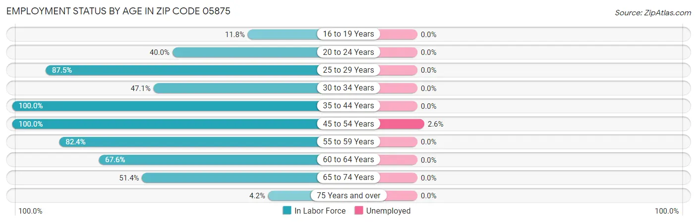 Employment Status by Age in Zip Code 05875