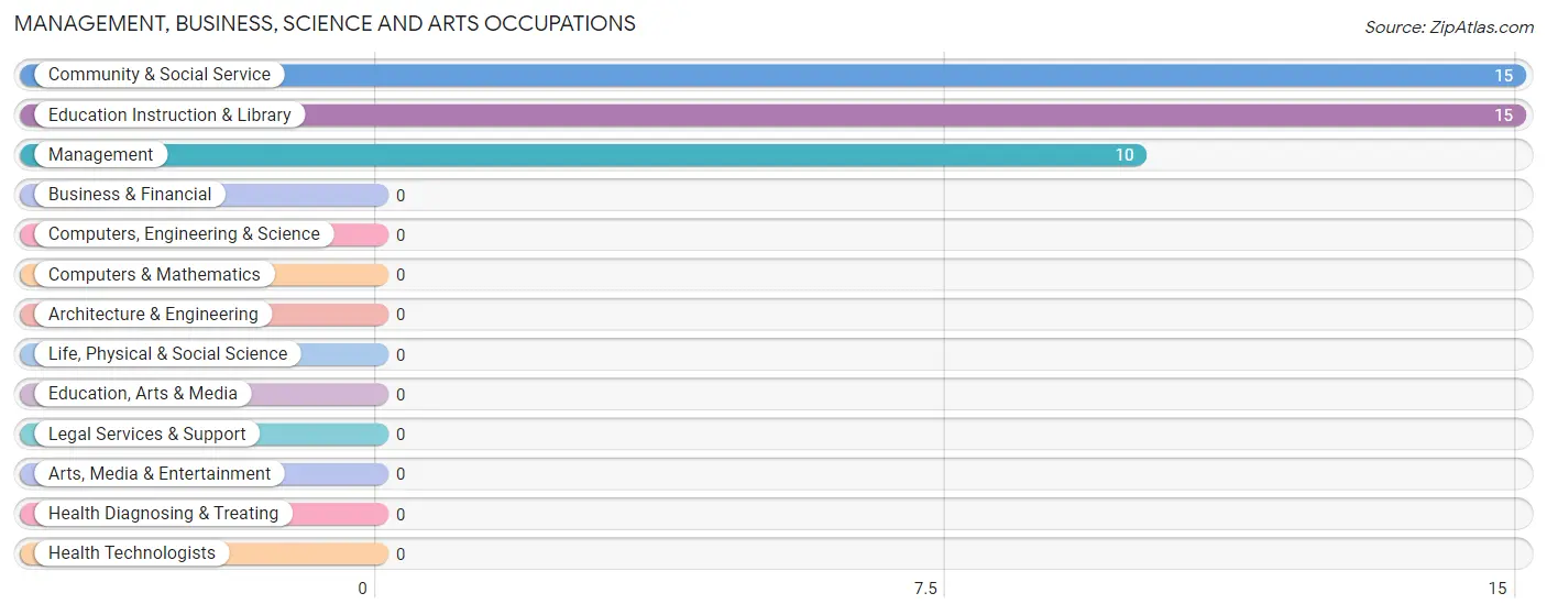 Management, Business, Science and Arts Occupations in Zip Code 05904