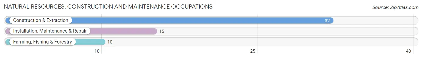 Natural Resources, Construction and Maintenance Occupations in Zip Code 05905