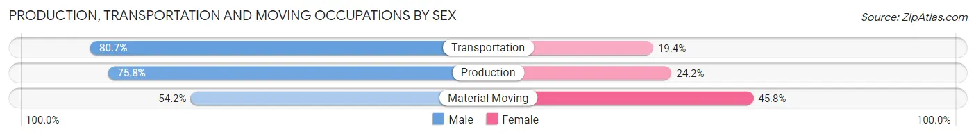 Production, Transportation and Moving Occupations by Sex in Zip Code 05906