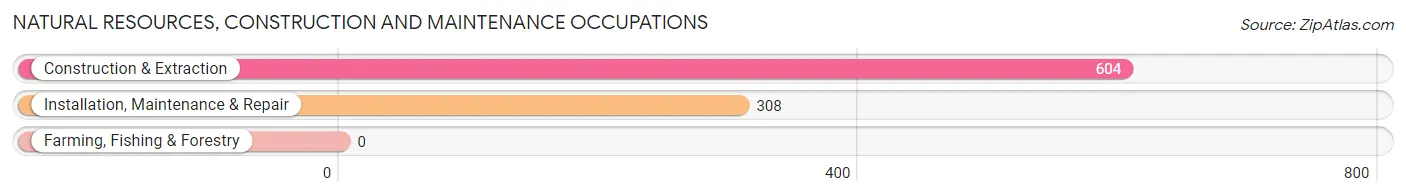 Natural Resources, Construction and Maintenance Occupations in Zip Code 06114