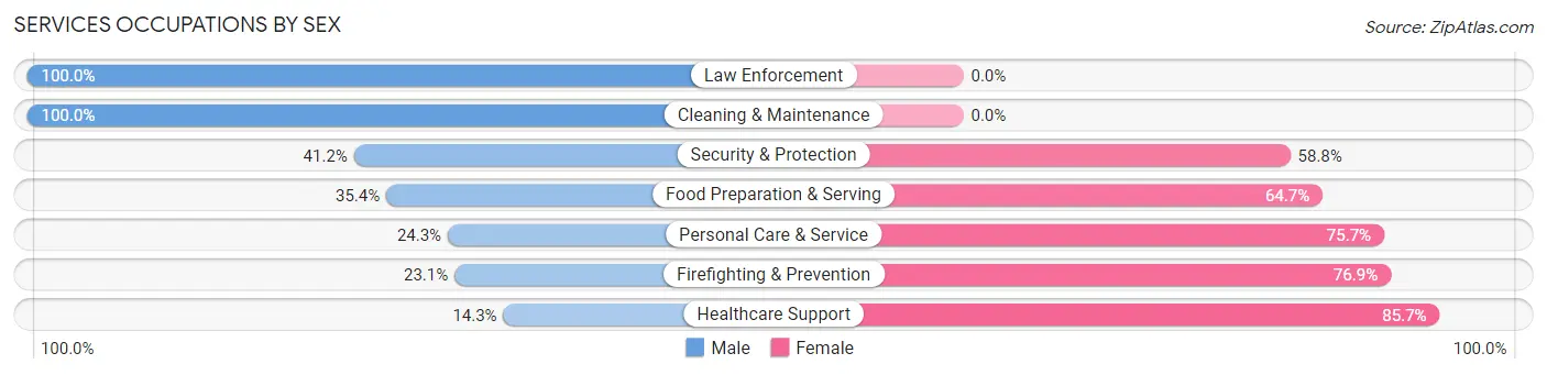 Services Occupations by Sex in Zip Code 06354