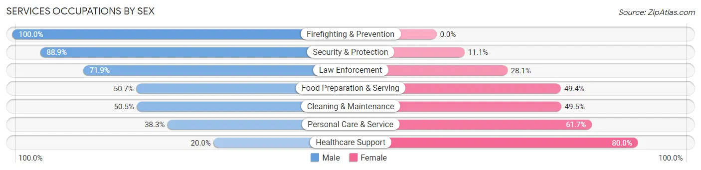 Services Occupations by Sex in Zip Code 06355