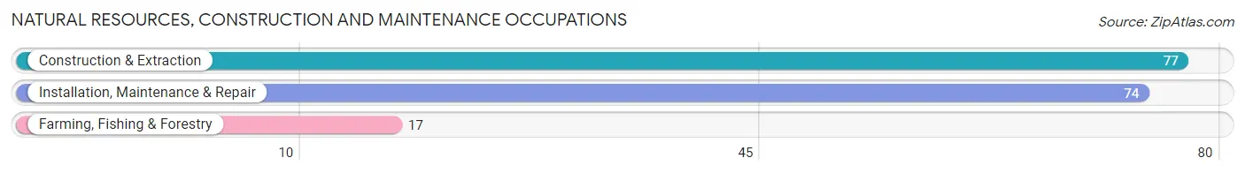 Natural Resources, Construction and Maintenance Occupations in Zip Code 06420