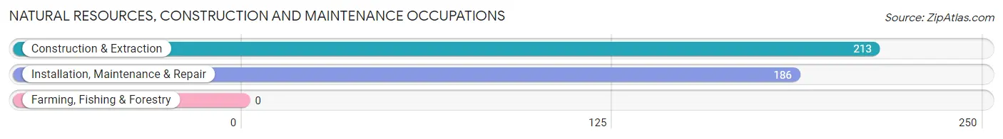 Natural Resources, Construction and Maintenance Occupations in Zip Code 06607