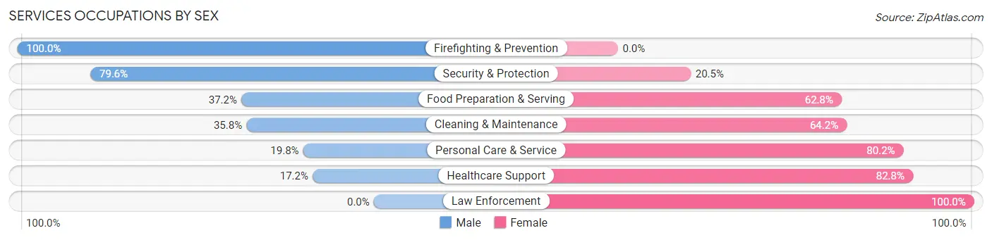 Services Occupations by Sex in Zip Code 06704