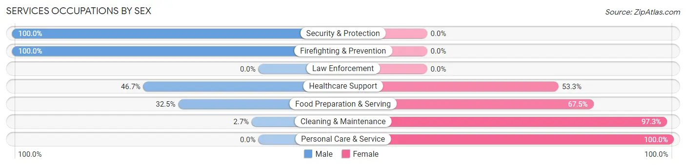 Services Occupations by Sex in Zip Code 06870