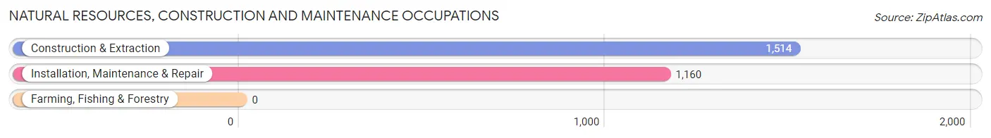 Natural Resources, Construction and Maintenance Occupations in Zip Code 07002