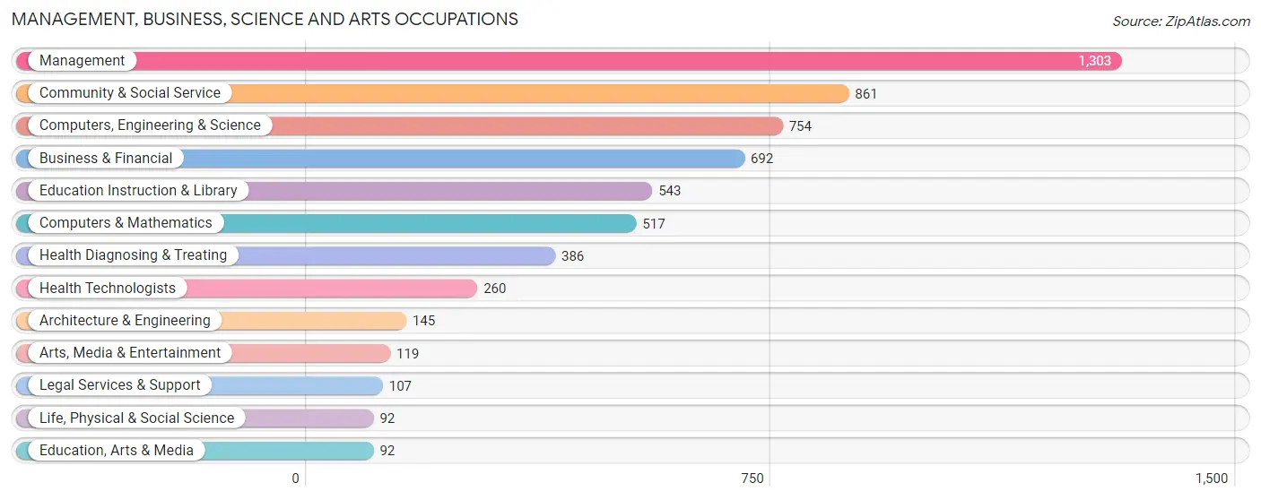 Management, Business, Science and Arts Occupations in Zip Code 07005