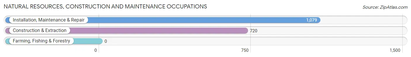 Natural Resources, Construction and Maintenance Occupations in Zip Code 07011