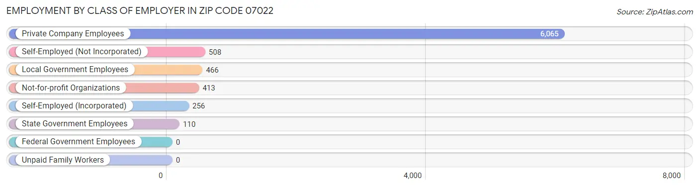 Employment by Class of Employer in Zip Code 07022