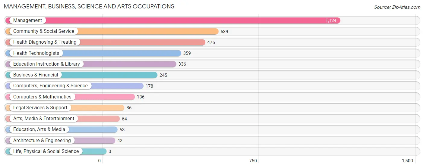 Management, Business, Science and Arts Occupations in Zip Code 07022