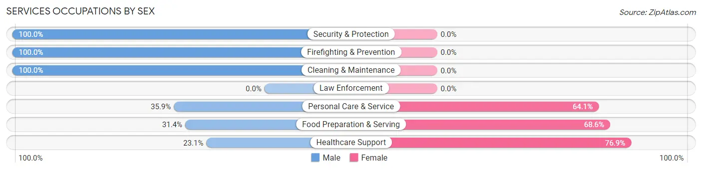 Services Occupations by Sex in Zip Code 07023
