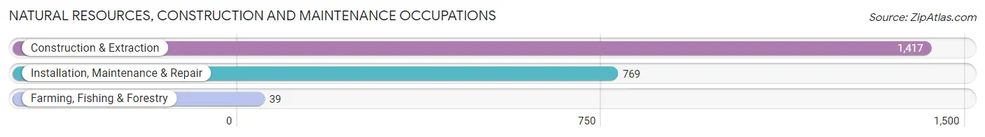 Natural Resources, Construction and Maintenance Occupations in Zip Code 07032