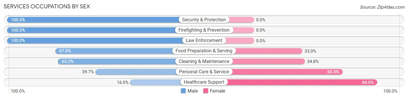 Services Occupations by Sex in Zip Code 07054