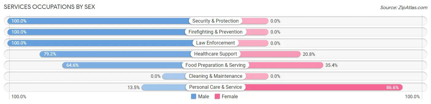 Services Occupations by Sex in Zip Code 07069