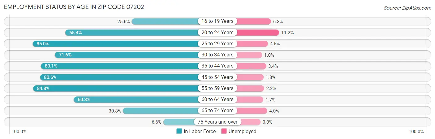 Employment Status by Age in Zip Code 07202
