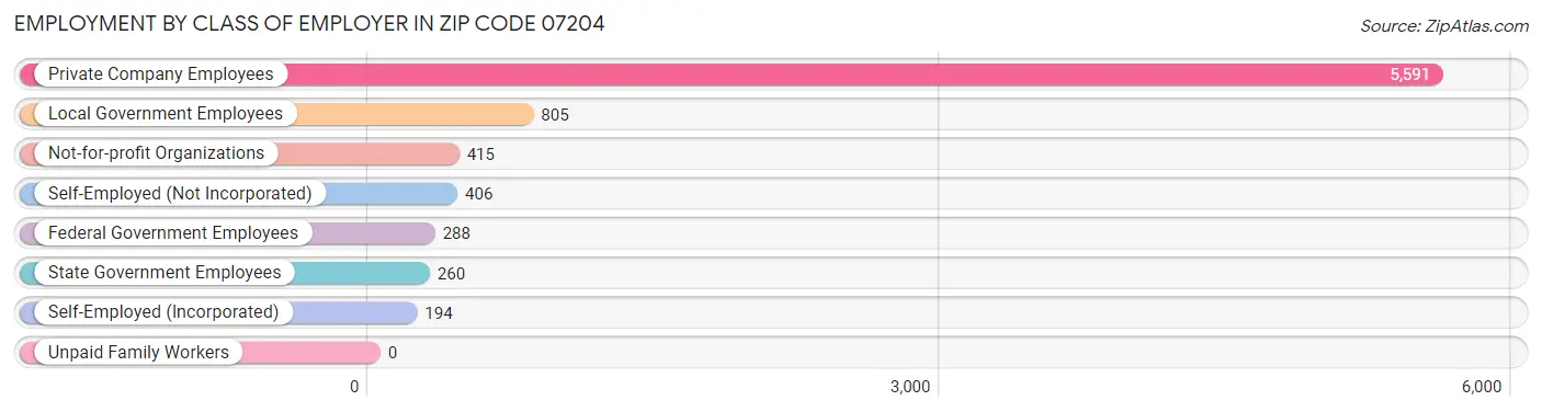 Employment by Class of Employer in Zip Code 07204