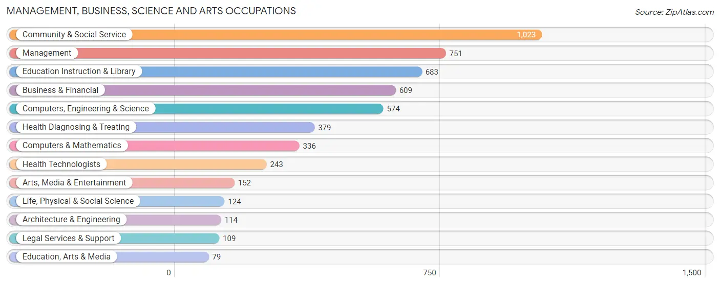 Management, Business, Science and Arts Occupations in Zip Code 07204