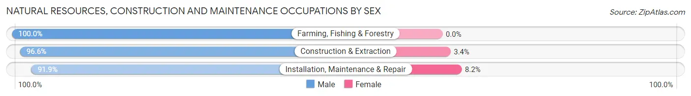 Natural Resources, Construction and Maintenance Occupations by Sex in Zip Code 07208