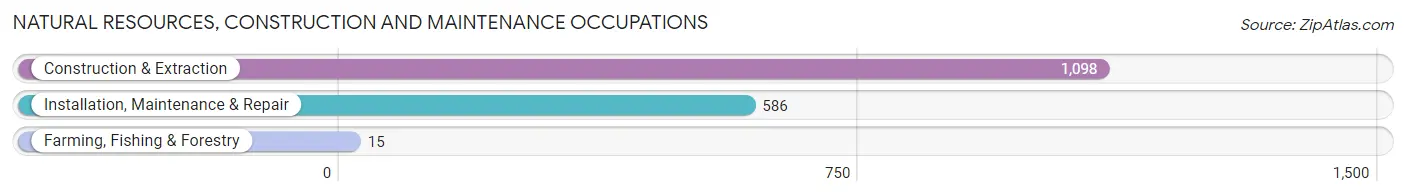 Natural Resources, Construction and Maintenance Occupations in Zip Code 07307