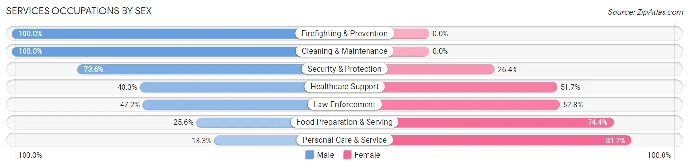 Services Occupations by Sex in Zip Code 07419