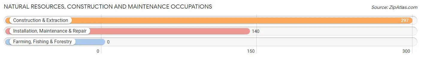 Natural Resources, Construction and Maintenance Occupations in Zip Code 07513