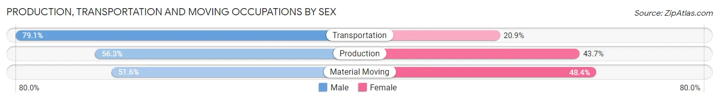 Production, Transportation and Moving Occupations by Sex in Zip Code 07513