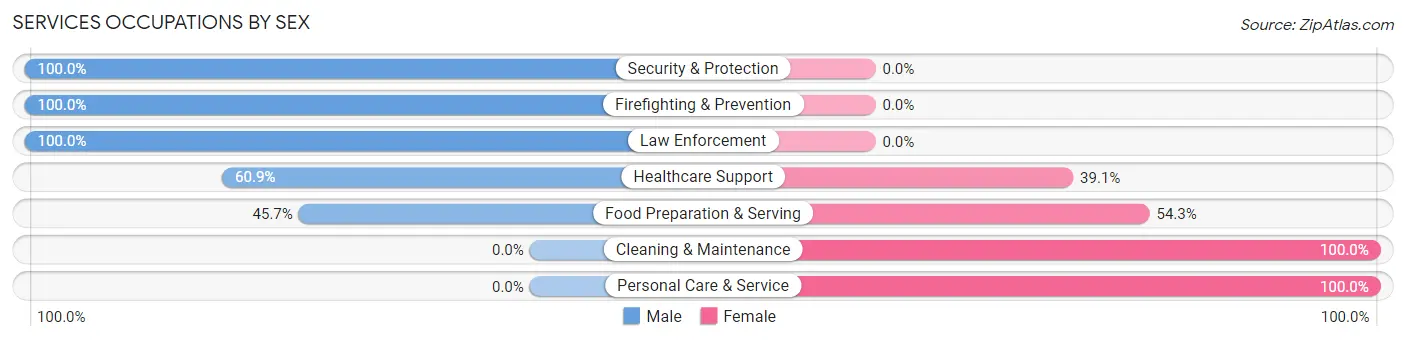 Services Occupations by Sex in Zip Code 07704