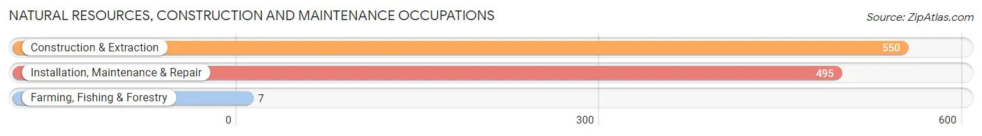 Natural Resources, Construction and Maintenance Occupations in Zip Code 07735