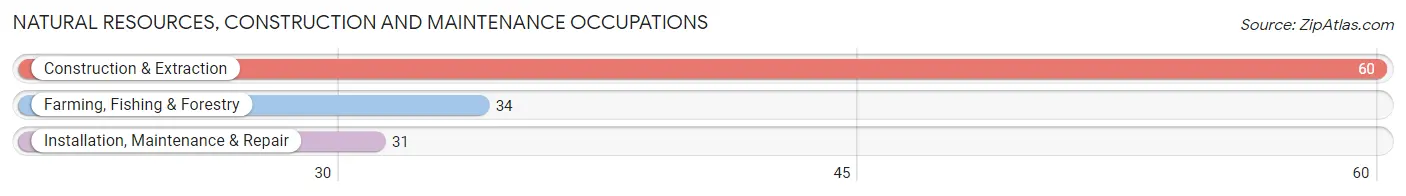 Natural Resources, Construction and Maintenance Occupations in Zip Code 07760