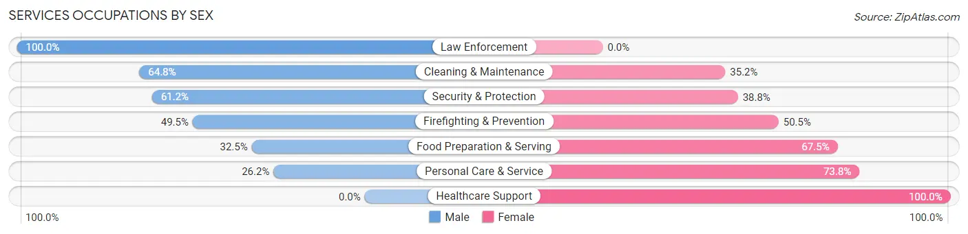 Services Occupations by Sex in Zip Code 07762