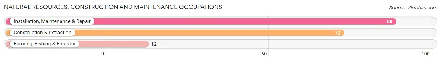 Natural Resources, Construction and Maintenance Occupations in Zip Code 07832