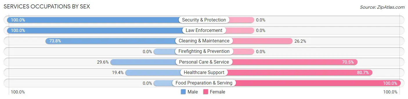 Services Occupations by Sex in Zip Code 07848