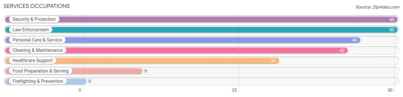 Services Occupations in Zip Code 07848