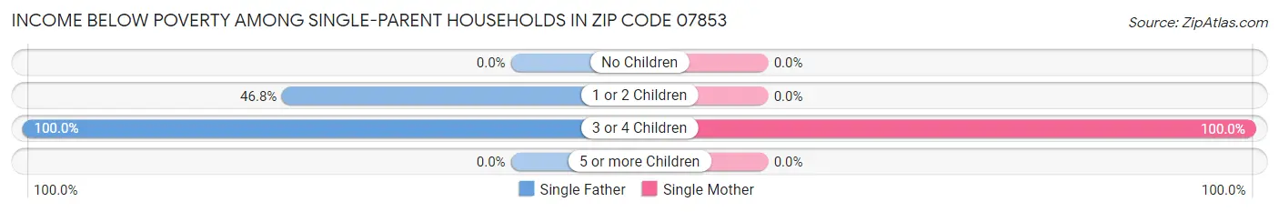 Income Below Poverty Among Single-Parent Households in Zip Code 07853