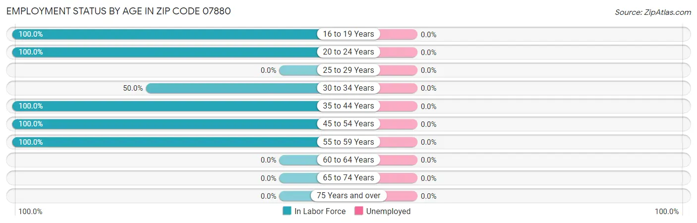 Employment Status by Age in Zip Code 07880
