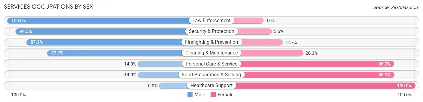 Services Occupations by Sex in Zip Code 07885