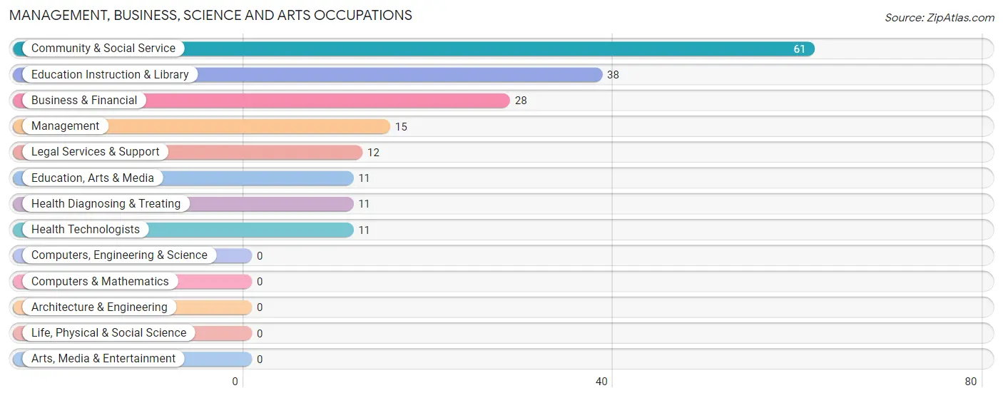 Management, Business, Science and Arts Occupations in Zip Code 07935