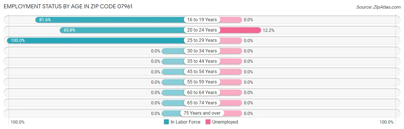 Employment Status by Age in Zip Code 07961