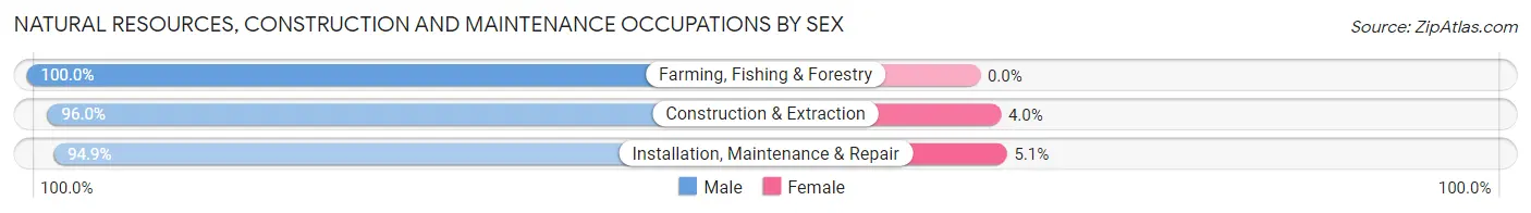 Natural Resources, Construction and Maintenance Occupations by Sex in Zip Code 08015
