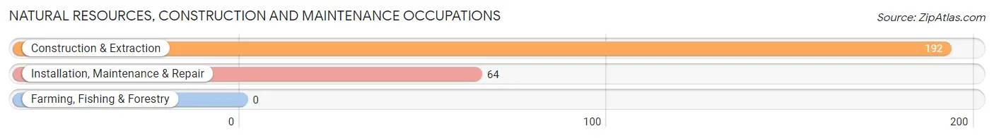 Natural Resources, Construction and Maintenance Occupations in Zip Code 08029