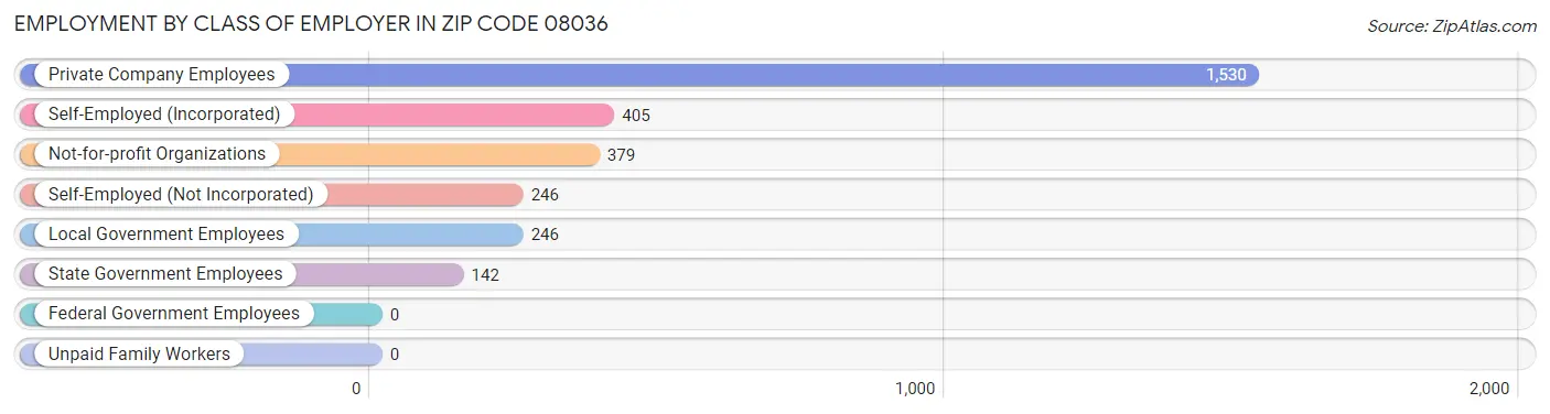 Employment by Class of Employer in Zip Code 08036