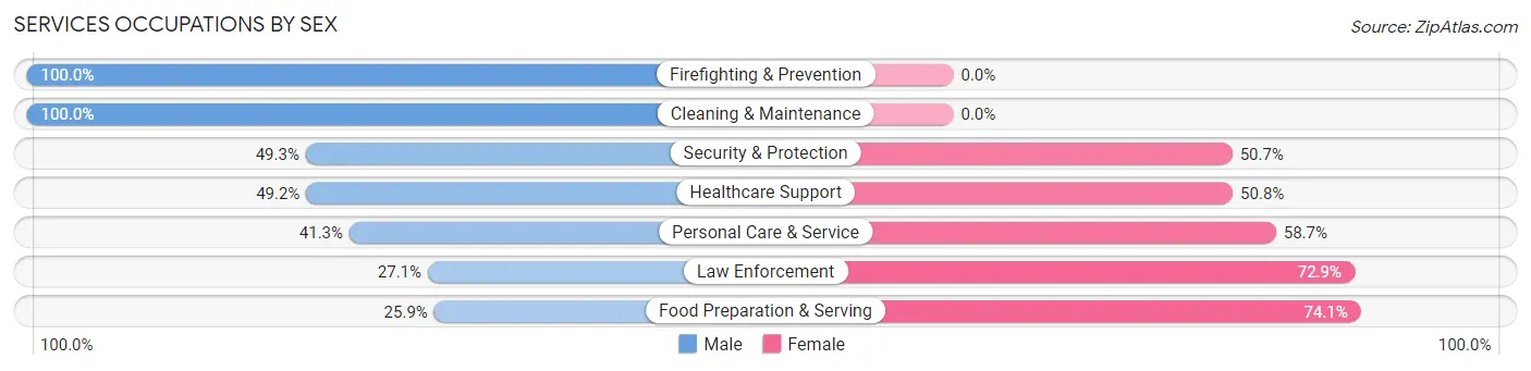 Services Occupations by Sex in Zip Code 08049