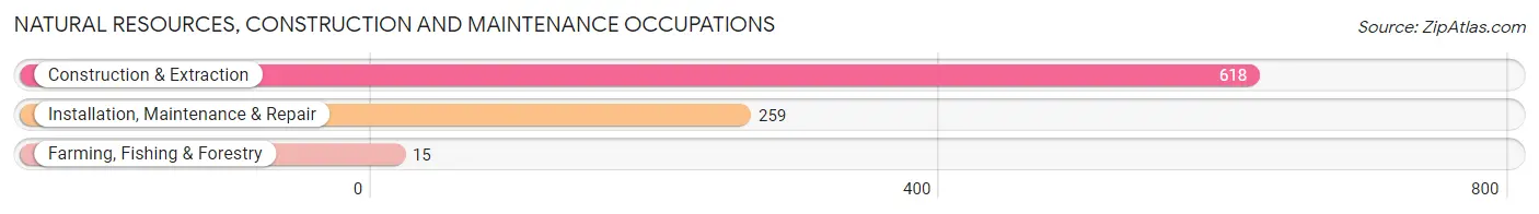 Natural Resources, Construction and Maintenance Occupations in Zip Code 08052